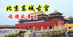 操东北淫妇免费视频中国北京-东城古宫旅游风景区